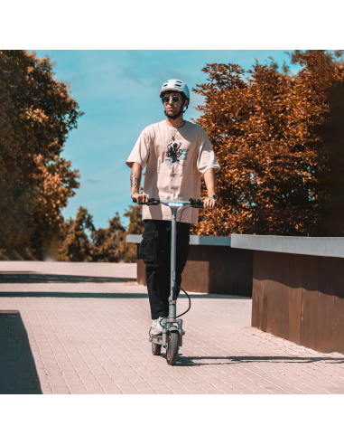 Patinete eléctrico smartGyro Ziro PRO + Liontec - Tienda online