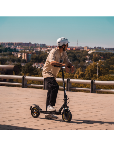 Patinete eléctrico  Smartgyro Z-Pro, Potencia máx. 600W, Potencia nominal  450 W, Capacidad máx. 120 kg, Hasta 25 km/h, Negro