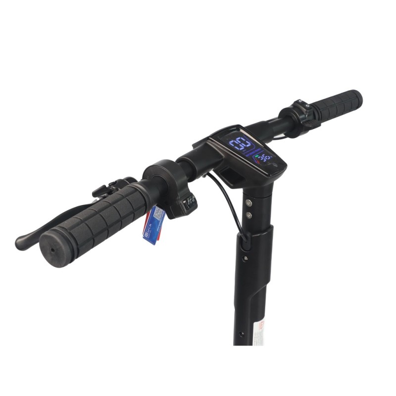 dualtron-dolphin-castellon